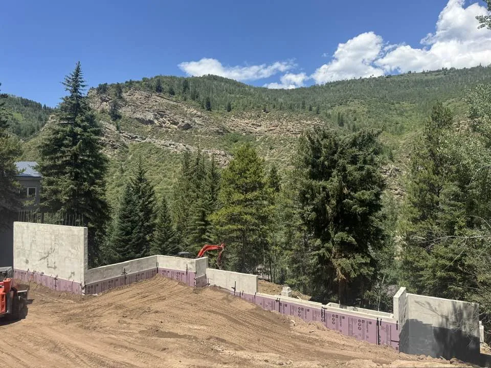Recent Project